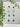 240219-3 IMPORTADO BRINCO PEQUENO