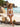526BK000430 LP BIQUINI TOMARA QUE CAIA