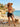 508711-MR BIQUINI BOJO TQC ESTP. VERM/AMA G