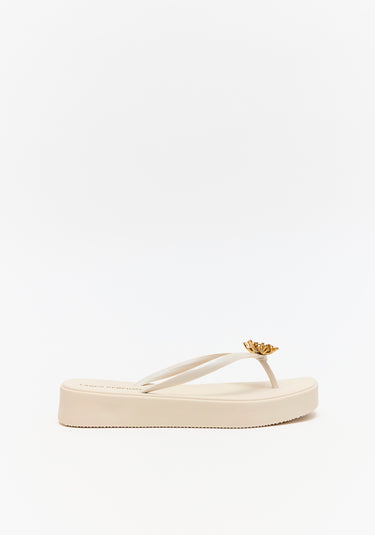 537CH000697 LP CHINELO CORAL