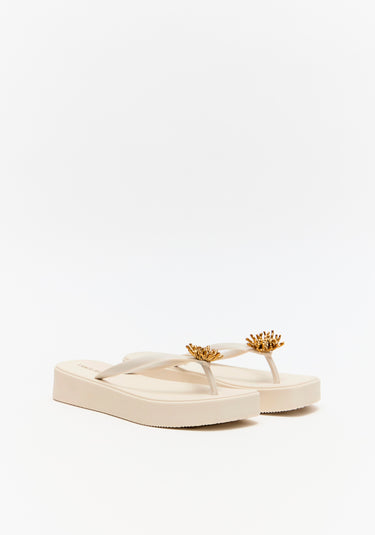 537CH000697 LP CHINELO CORAL