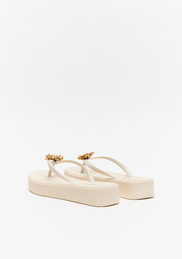 537CH000697 LP CHINELO CORAL