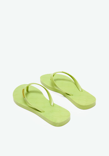 537ch000477 LP KIT CHINELO E BOLSA LP VERDE