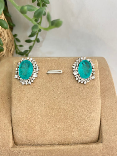 30102023 IMPORTED EARRING